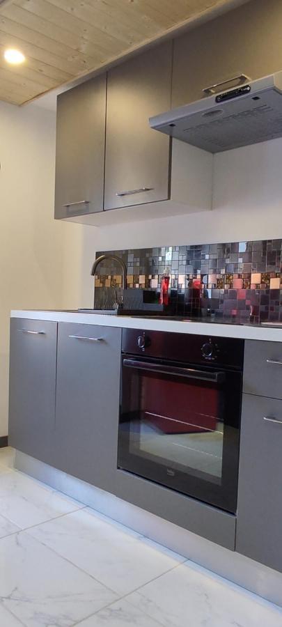 Les Souvenirs D'Alsace Apartment Colmar Ngoại thất bức ảnh
