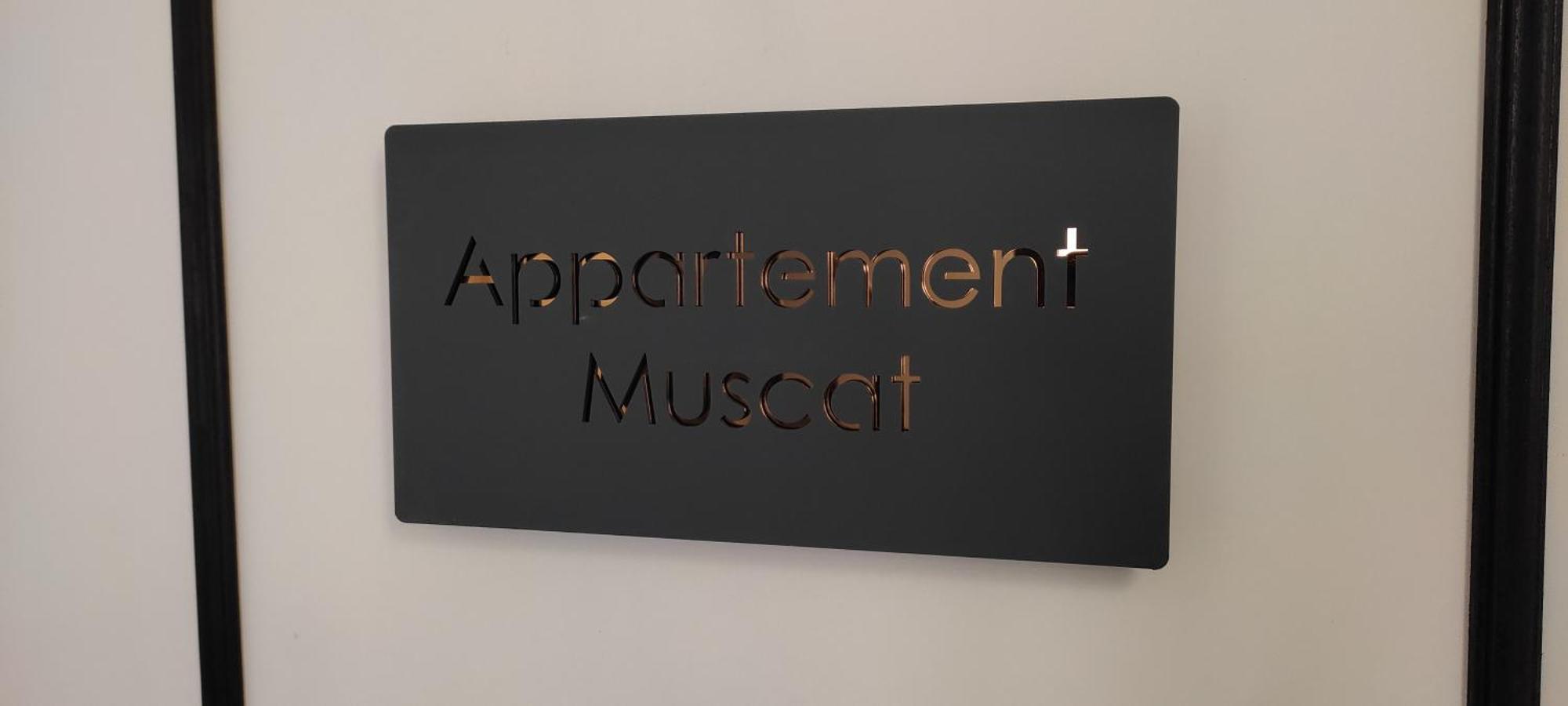Les Souvenirs D'Alsace Apartment Colmar Ngoại thất bức ảnh